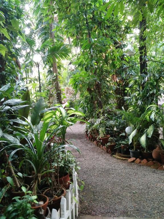 Green Woods Bethlehem Kochi Exteriér fotografie