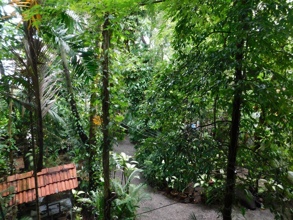 Green Woods Bethlehem Kochi Exteriér fotografie