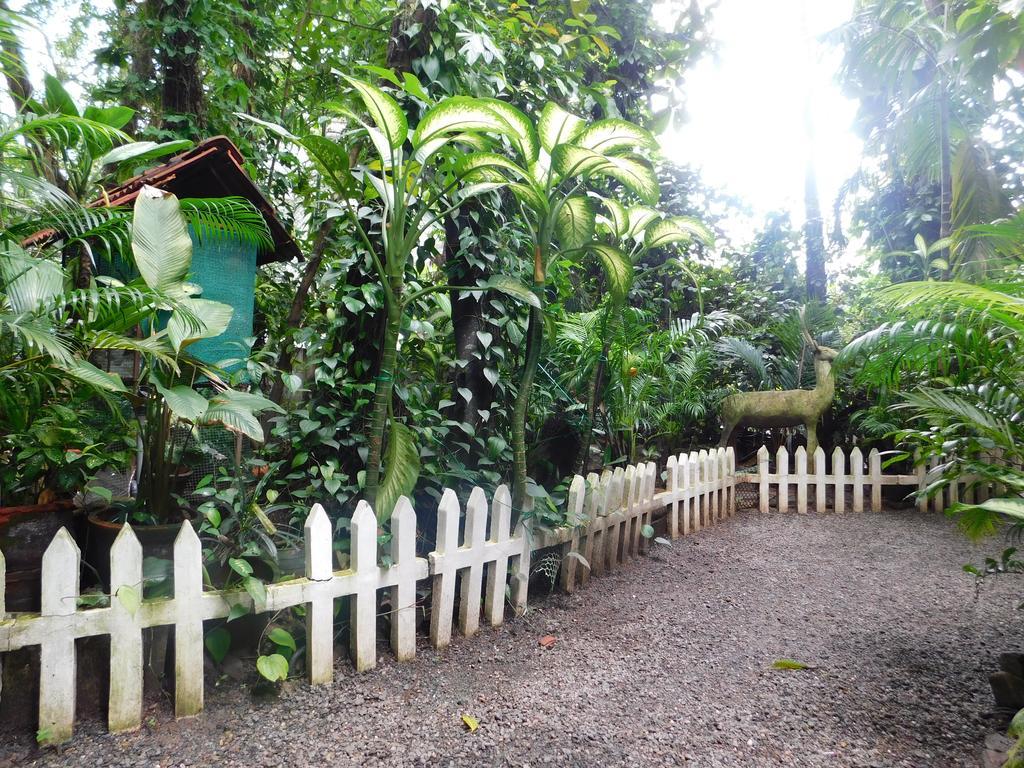 Green Woods Bethlehem Kochi Exteriér fotografie